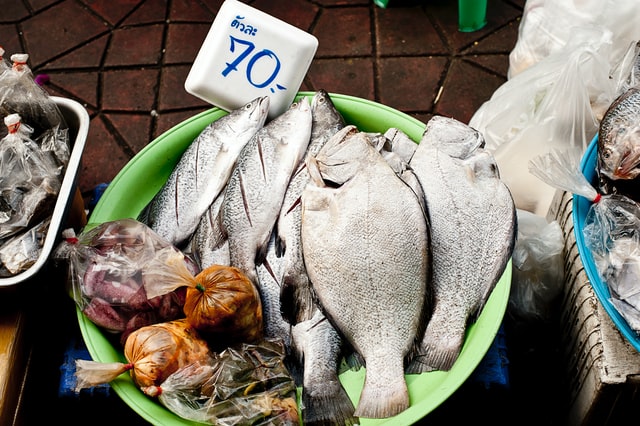 まとめ 食品衛生法改正後の魚介類販売業についてわかりやすく解説 肥前正宗 食品 グルメ情報サイト